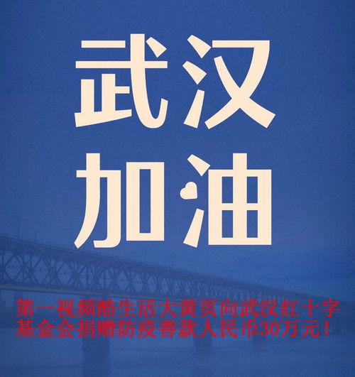 武汉防疫大爆料视频大全,揭秘病毒真相与抗疫历程